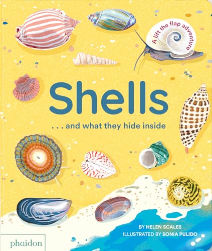 Shells... and what they hide inside: A Lift-the-Flap Adventure von Phaidon Press
